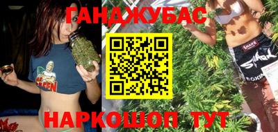 кокс Гатчина