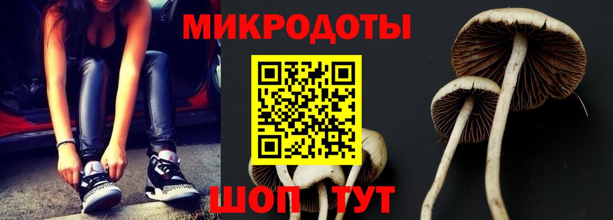 Галлюциногенные грибы прущие грибы  что такое наркотик  Каменск-Шахтинский  Вход с VPN 